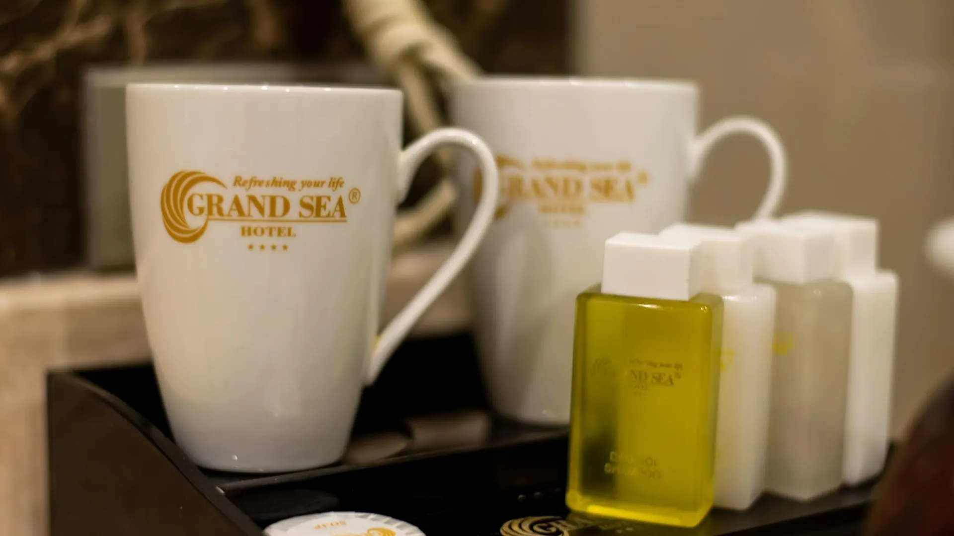 Grand Sea Hotel Danang